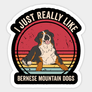 I Just Really Like Bernese Mountain Dogs Sticker